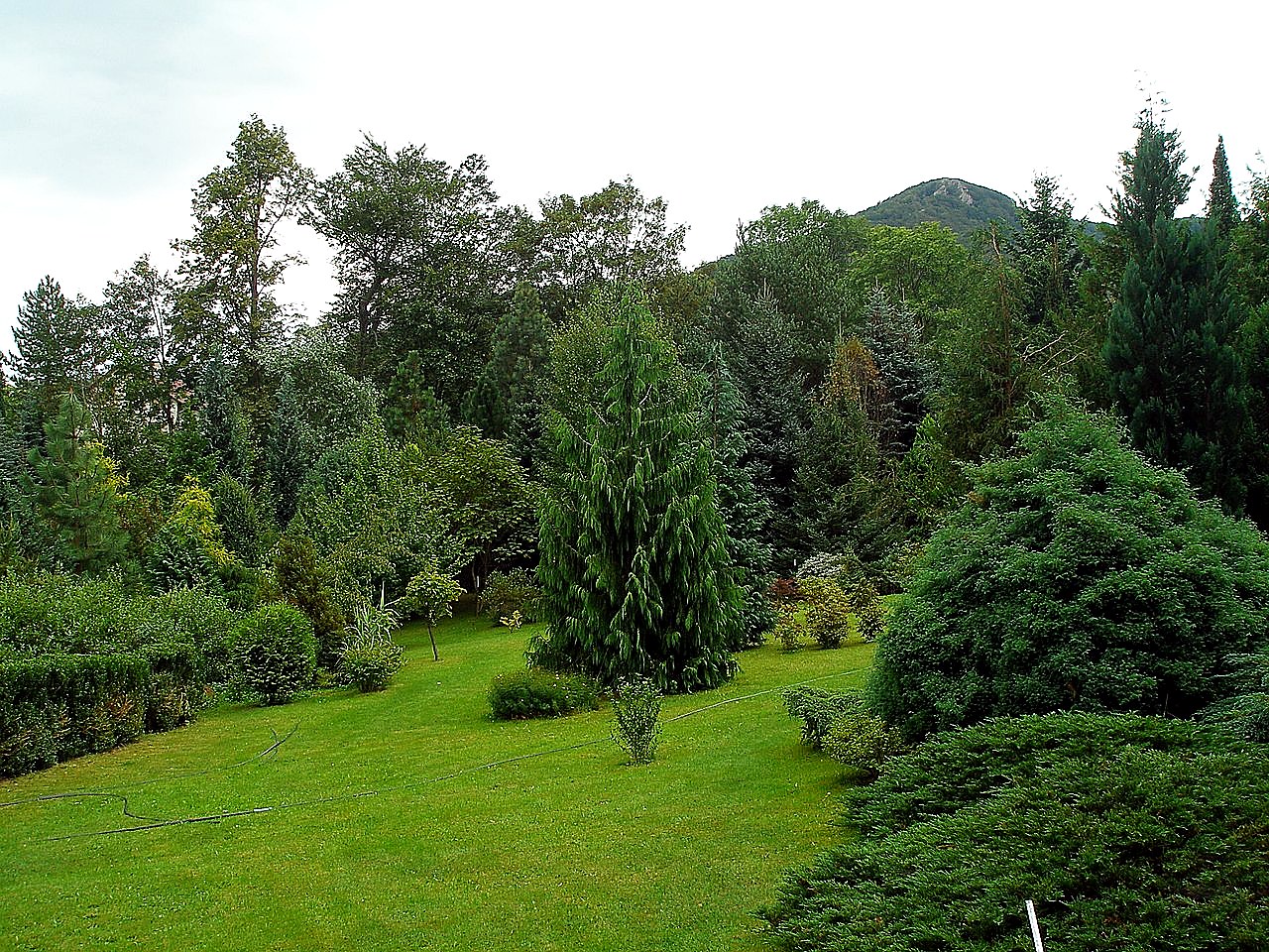 
<span>Arboretum Josefa Eberta</span>

