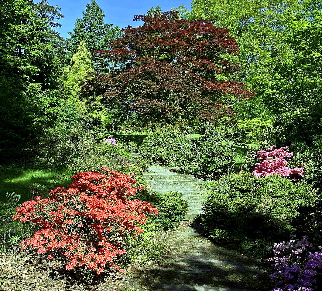 
<span>Arboretum Nový Dvůr</span>
