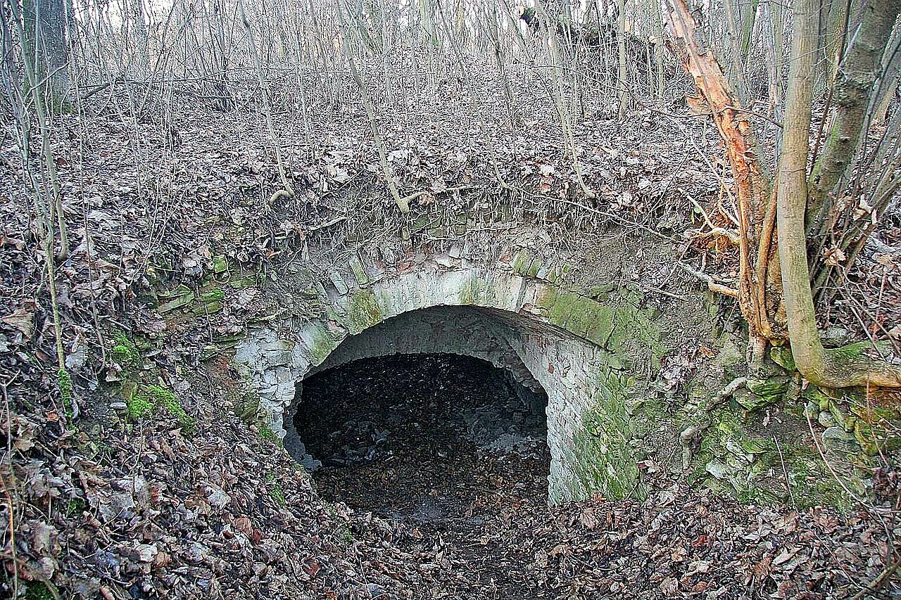 
<span>Kuncberk</span>
