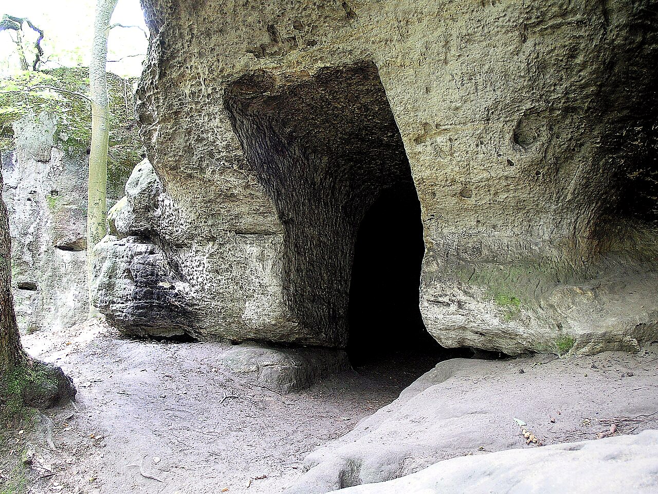 
<span>Nedamy</span>
