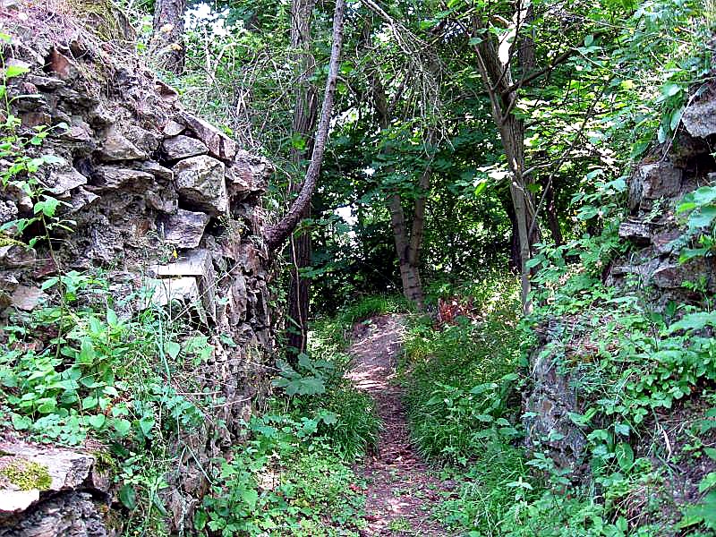 
<span>Rychvald (Lysice)</span>
