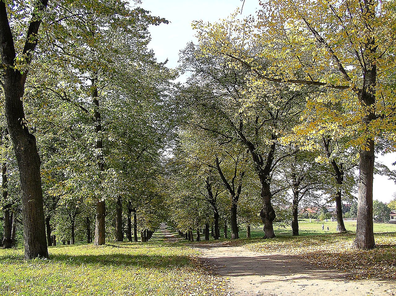
<span>park Masarykovy sady</span>
