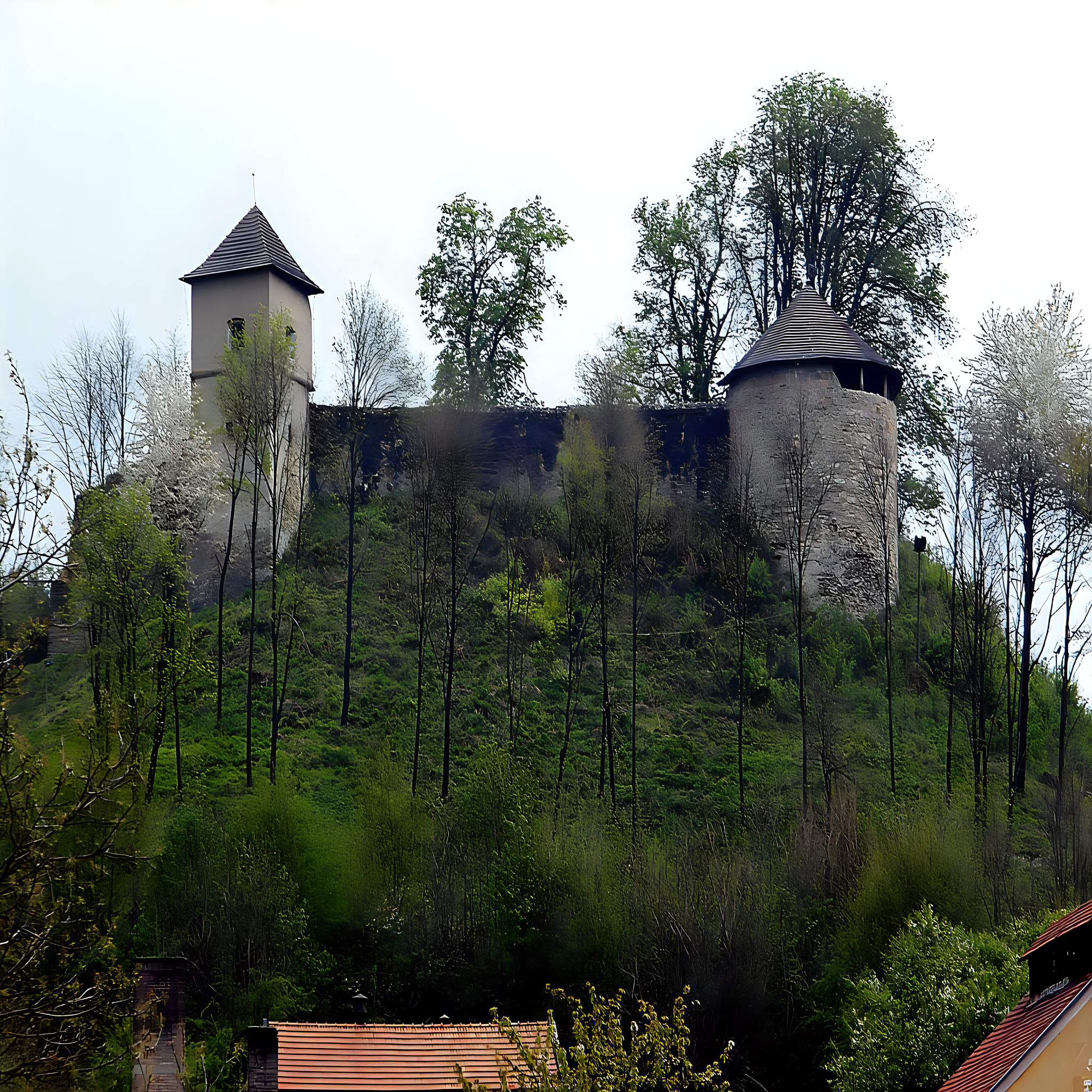 
<span>Brumov</span>
