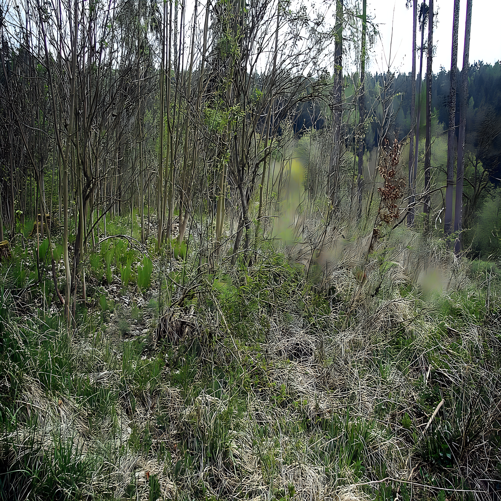 
<span>Dolní hrádek</span>
