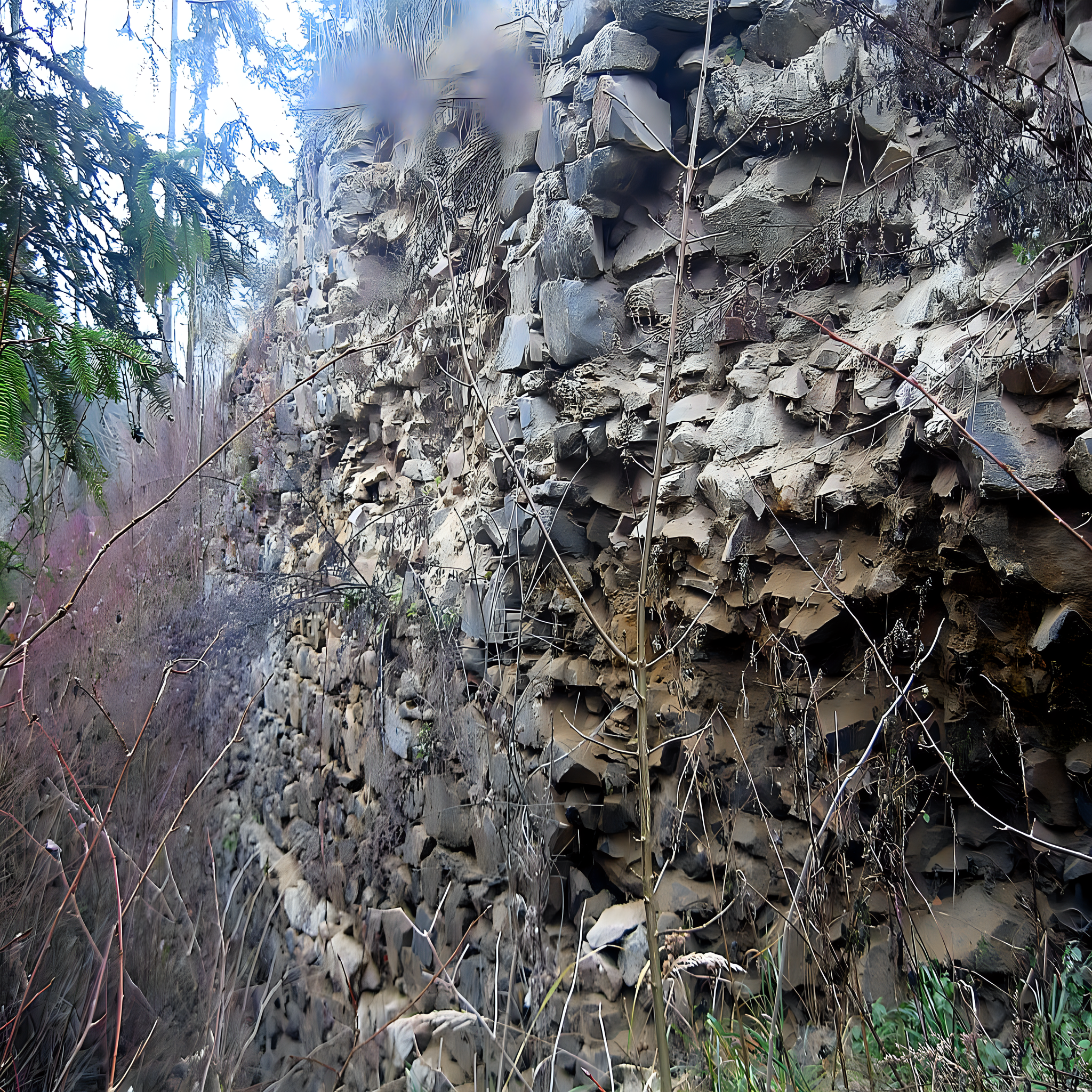 
<span>Kožlí</span>
