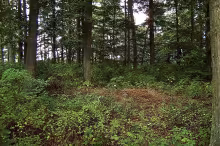 Kardašova Řečice