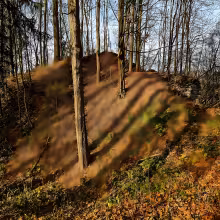 Rýzmburk