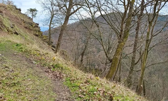 Hasištejn
