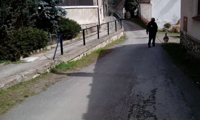 Kostel svaté Kateřiny (Tetín)