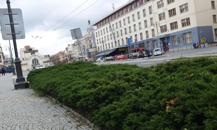 Kostel svatého Bartoloměje (Pardubice-Staré Město)