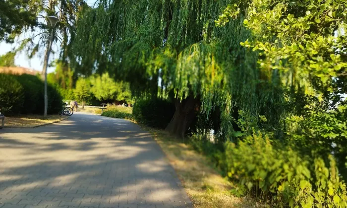 Kostel svatých Petra a Pavla (Radotín)