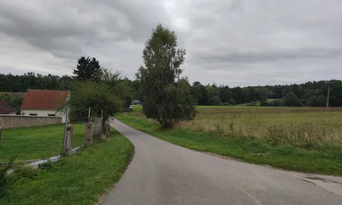 kostel svaté Alžběty (Blažejov)