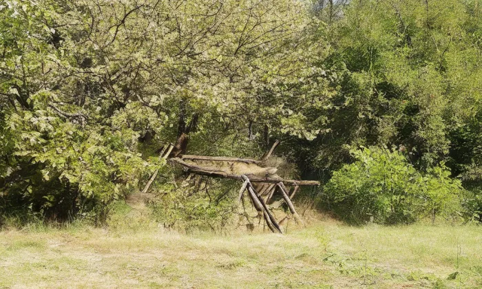 Bořetice – historical