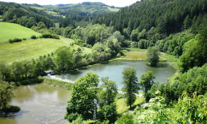 Brumov