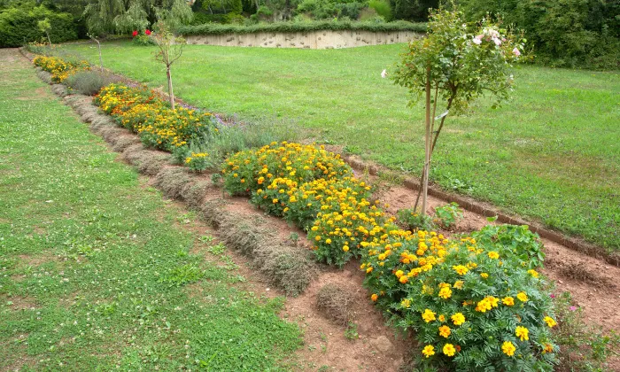 Arboretum Borotín