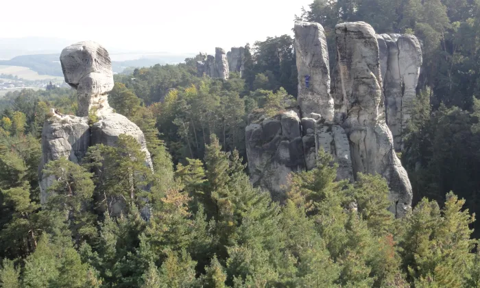 Arboretum Bukovina