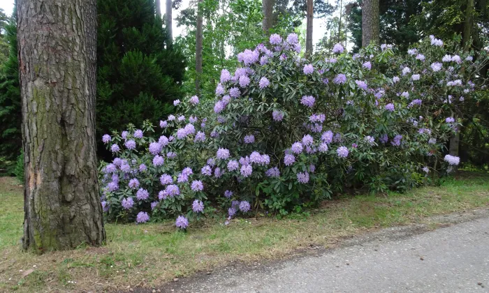 Arboretum Nový Dvůr