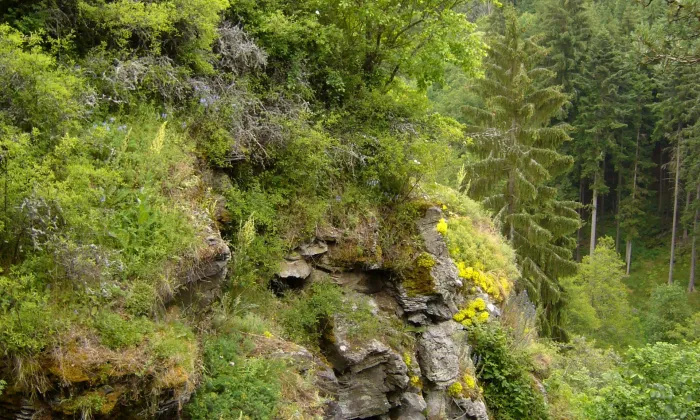 Falštejn