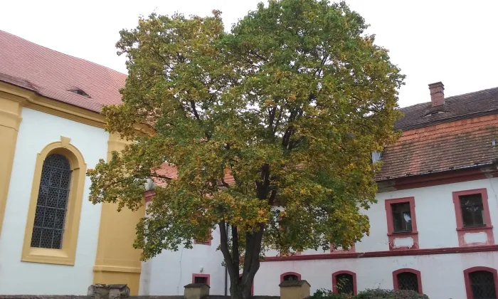 Rabštejn nad Střelou