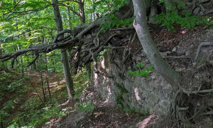 Rožnov pod Radhoštěm
