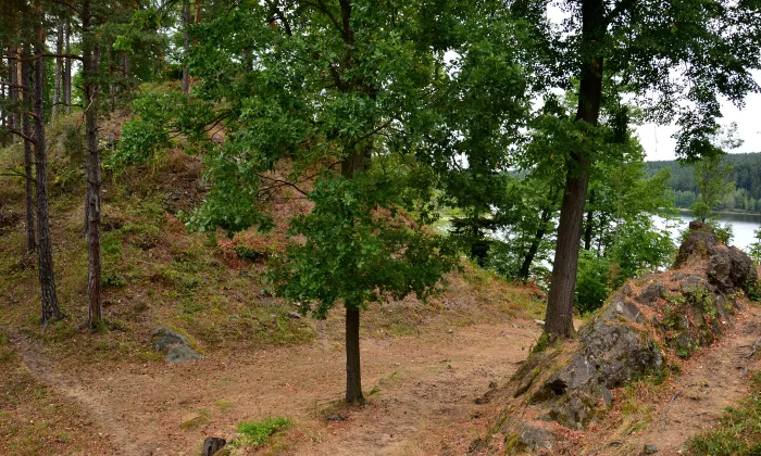 Velešín