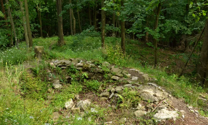 Vlčinec