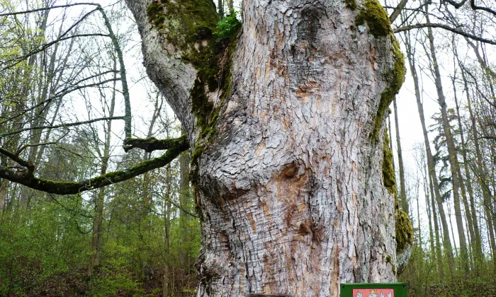 zámek Kněžice (Petrovice u Sušice)