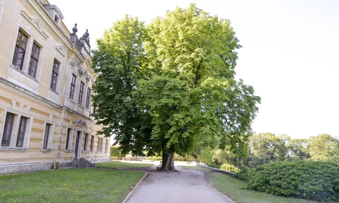 zámek Lysá nad Labem
