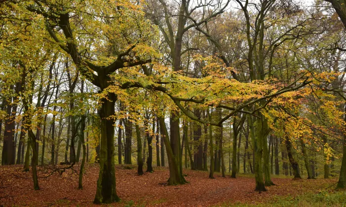 Červený hrádek