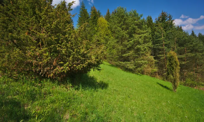 Kaple Nejsvětější Trojice (Švařec)