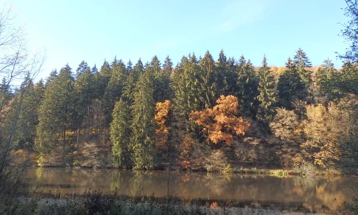 Kaple svaté Anny (Hostěnice)