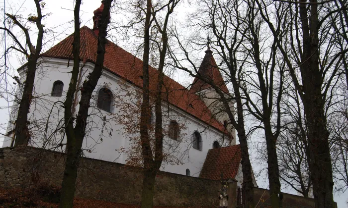 Kostel Nanebevzetí Panny Marie (Třebsko)
