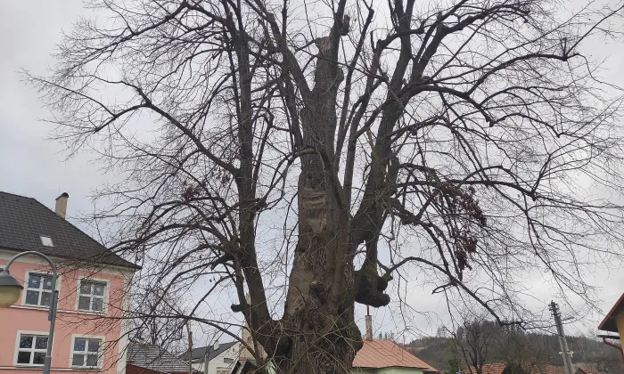 Kostel Narození Panny Marie (Pržno)