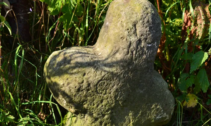 Kostel svaté Anny (Křimov)