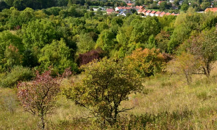 Kostel svatého Augustina (Lužice)
