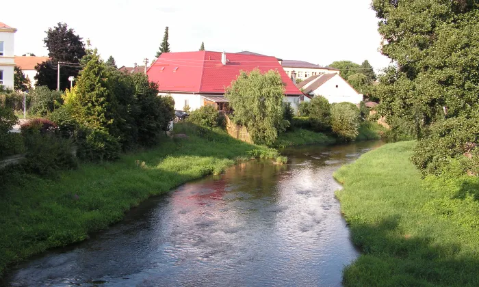 Kostel svatého Prokopa (Loštice)