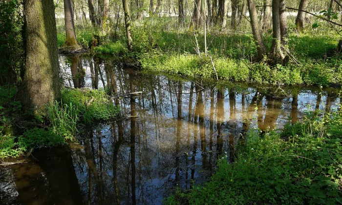 Kostel svatého Vavřince (Mukařov)