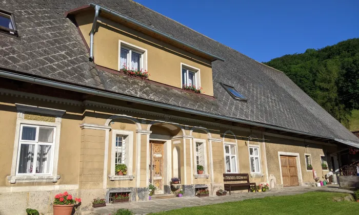 Kostel svatého Václava (Machov)