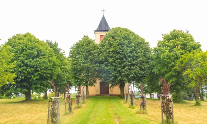 kaple Božského Srdce Páně (Borová)