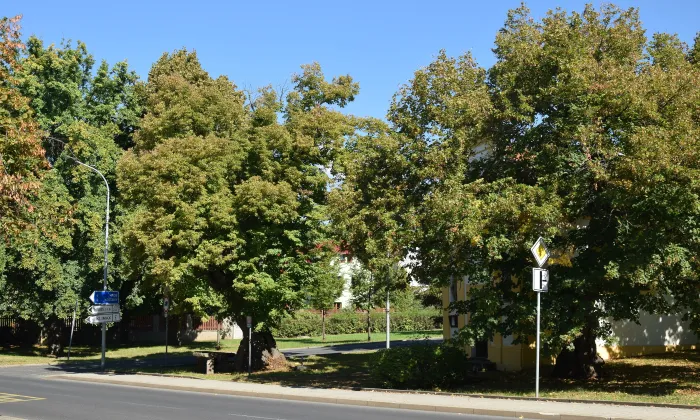 kaple svatého Huberta (Mstišov)