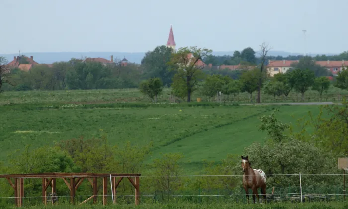 kostel Zasnoubení Panny Marie