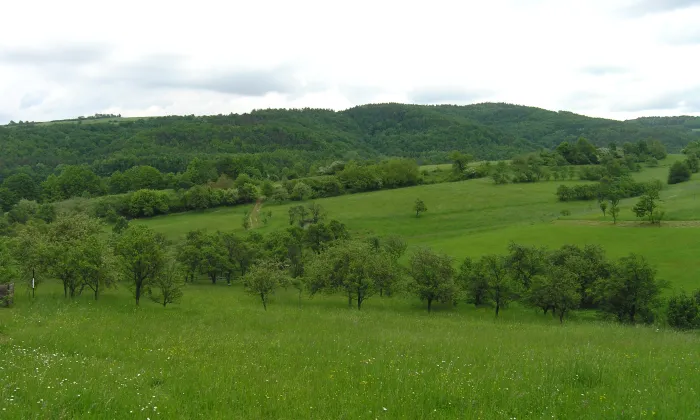 kostel svatých Cyrila a Metoděje (Bratřejov)