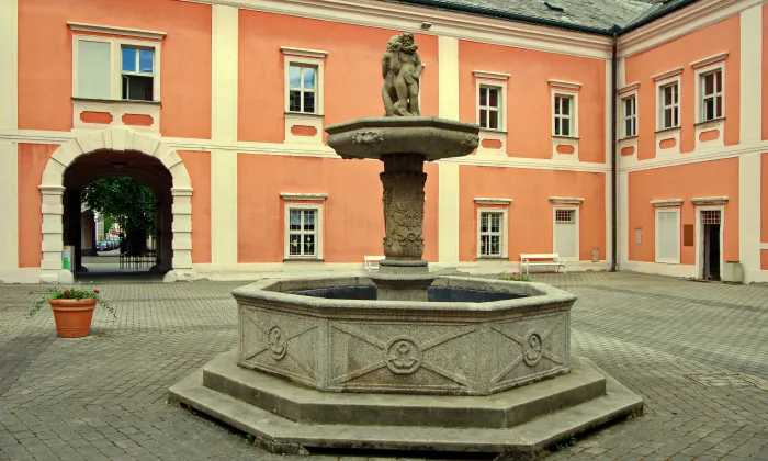 Muzeum Sokolov