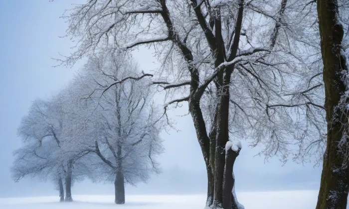 Čertův most – winter