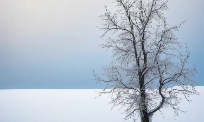 Červený Dvůr (Červený Dvůr) – winter