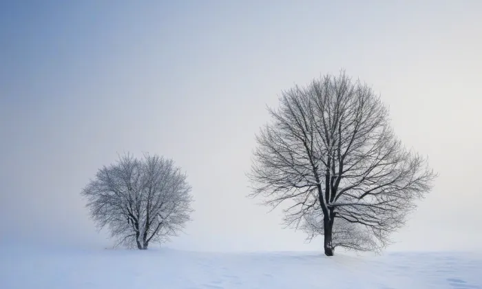 Červený most – winter