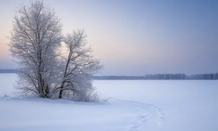 Adamov – winter