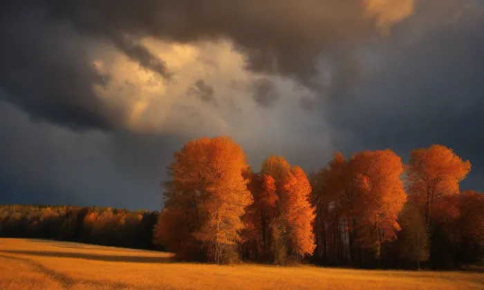 Akademie HUSPOL, s.r.o. – autumn