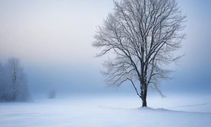 Alšova jihočeská galerie v Hluboké nad Vltavou – winter