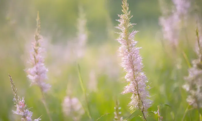 Alegorická socha Průmyslu – spring